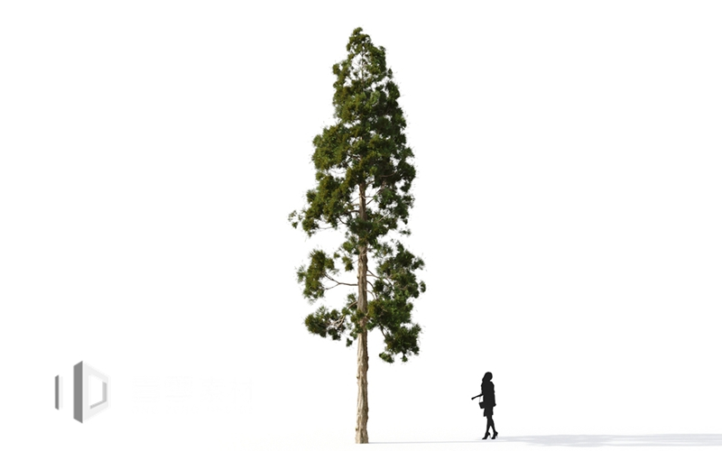Maxtree - Plant Models Vol.9