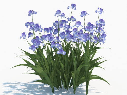 Maxtree - Plant Models Vol.3