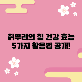 칼뿌리 효능, 칡뿌리 활용법, 건강 식품, 자연 치료, 전통 약재