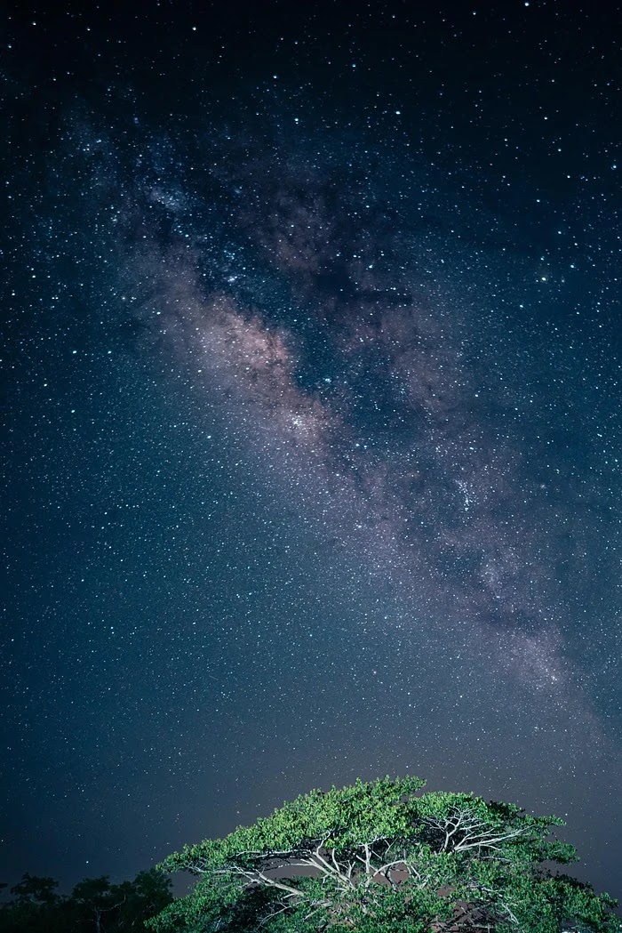 갤럭시S25 AP와 아이폰16 AP 구조 차이와 성능 비교