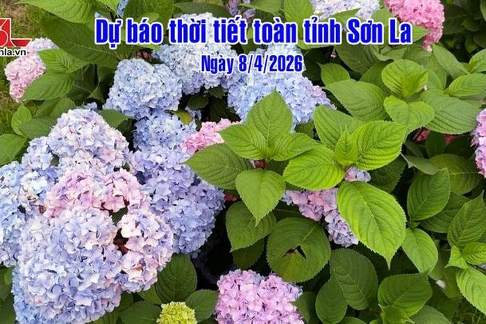 Dự báo thời tiết toàn tỉnh Sơn La ngày 8/4/2026 - Báo Sơn La