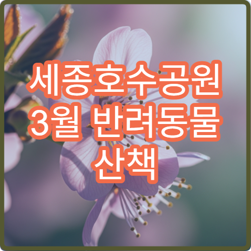 세종호수공원 3월 반려동물 산책 주의사항 상세