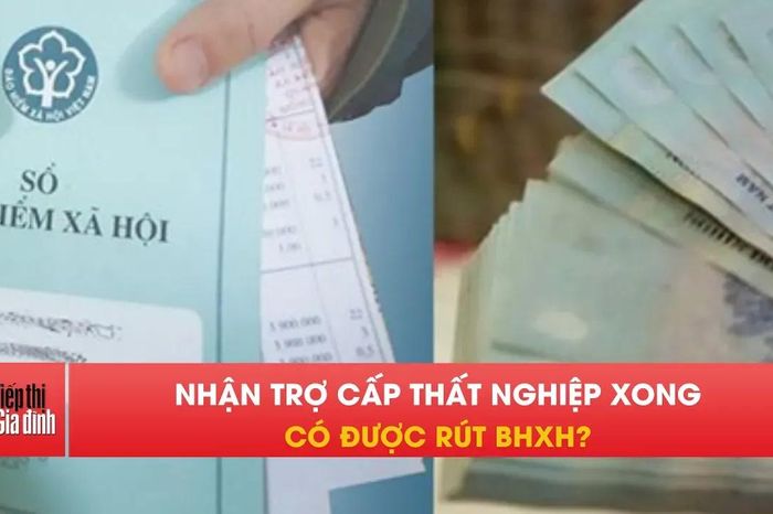 Hưởng hết trợ cấp thất nghiệp, có rút BHXH một lần được không? - Tạp chí Tiếp thị &amp; Gia đình