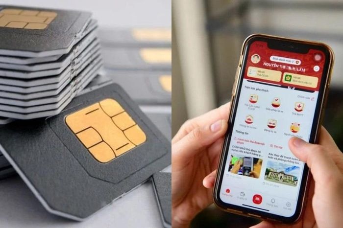 Gỡ rối những thắc mắc khi xác thực SIM qua ứng dụng VNeID - Chuyên trang Hoa Học Trò - Báo Tiền Phong