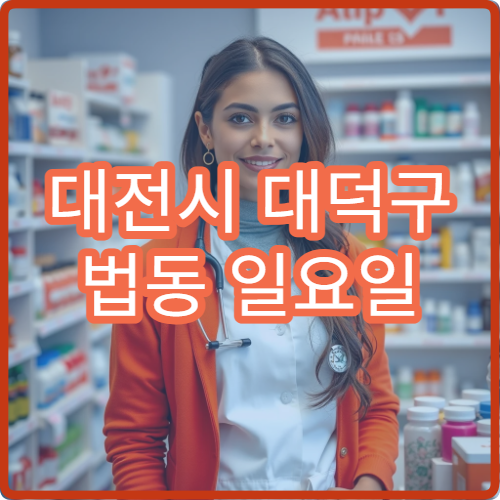 대전시 대덕구 법동 일요일 당번약국 병원 방문 후 약 구매