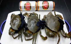 Đừng vội tháo dây buộc cua. Hãy đặt nó nằm ngửa trên mặt phẳng dùng 1 cay kim to hoặc tua vít từ ngay đầu của yếm cua xuyên 1 nhát vừa chạm đến mai cua, sẽ khiến cua chết ngay không còn 1 chút phản kháng nào nữa. Sau đó mới tháo dây buộc và đem rửa sạch, để ráo.
