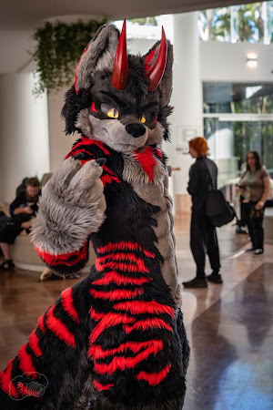 furdu-03638.jpg