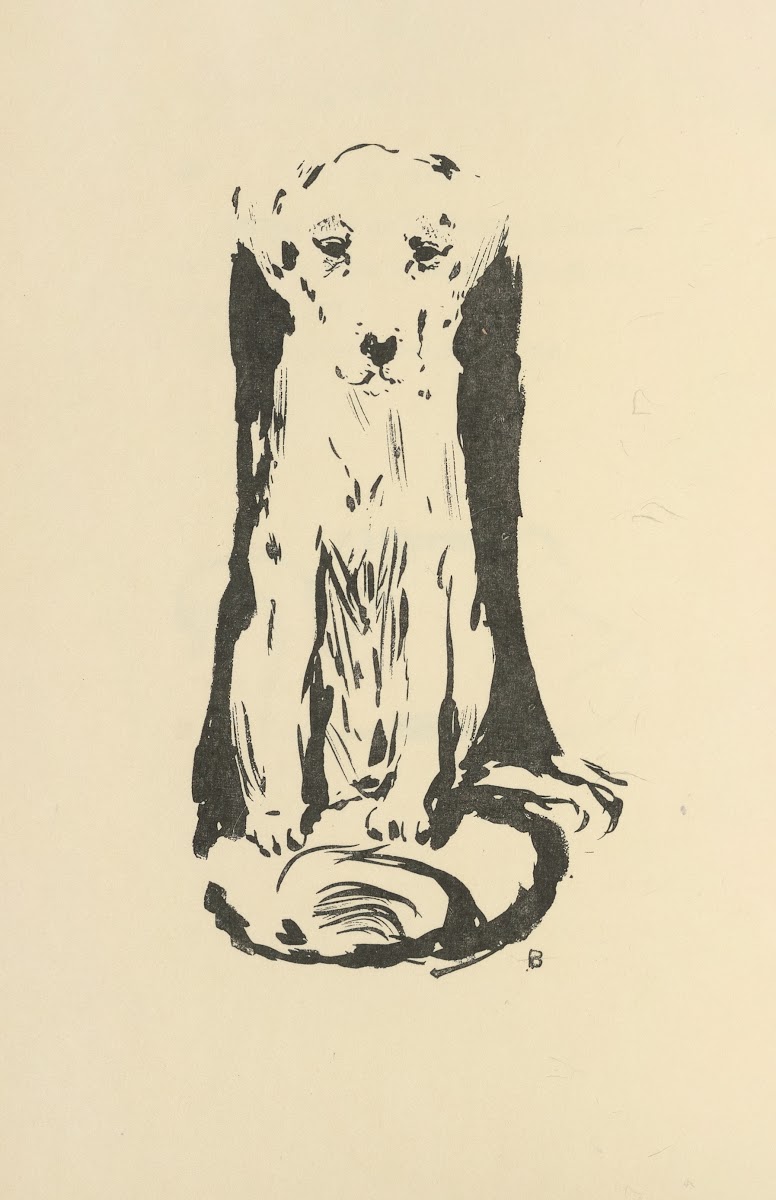 Histoires naturelles Pl 14 1922