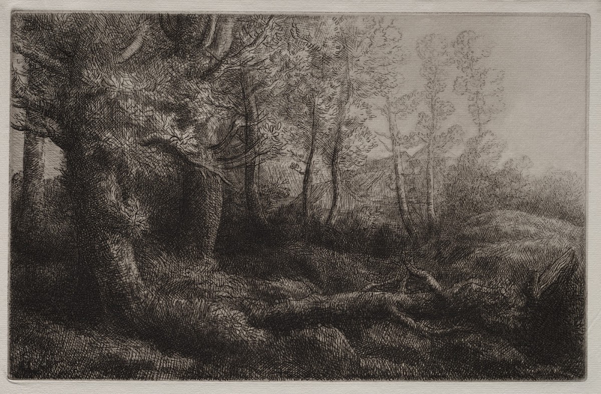 A Woodland Study c 18571911