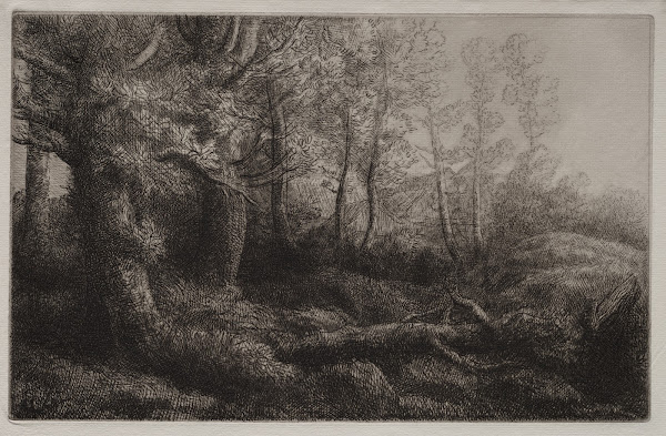 A Woodland Study c 18571911
