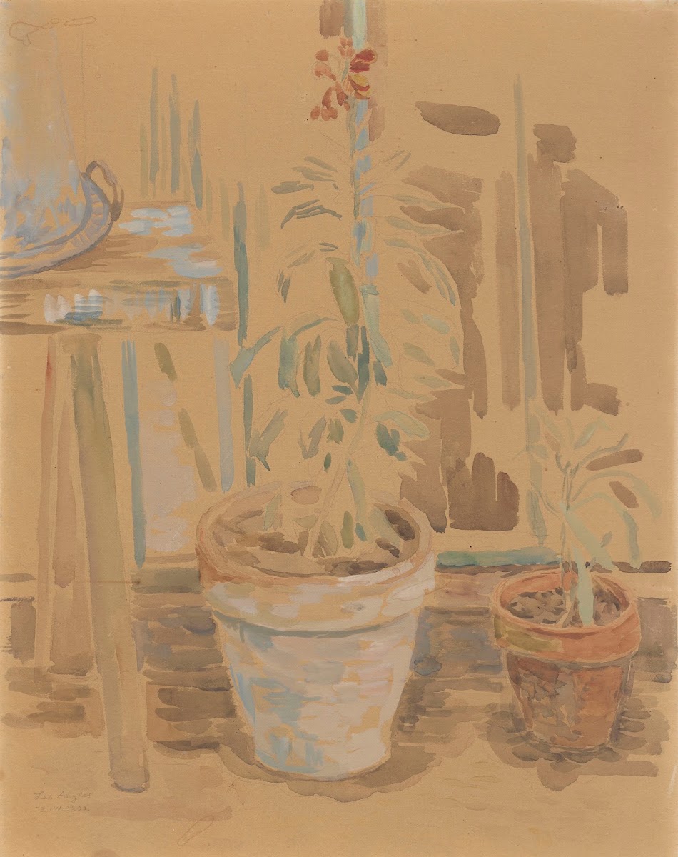 Flowers in pots 1930