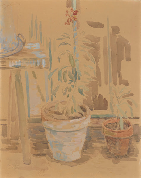 Flowers in pots 1930