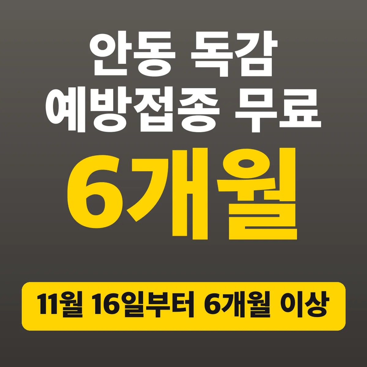 안동 독감 예방접종 무료, 11월 16일부터 6개월 이상