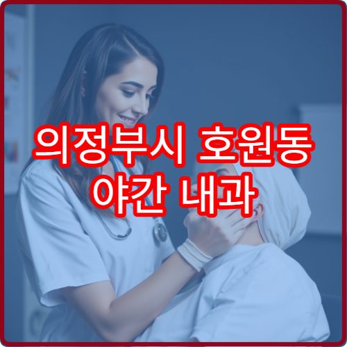 의정부시 호원동 야간 내과 소화불량 속쓰림 진료 병원 정보