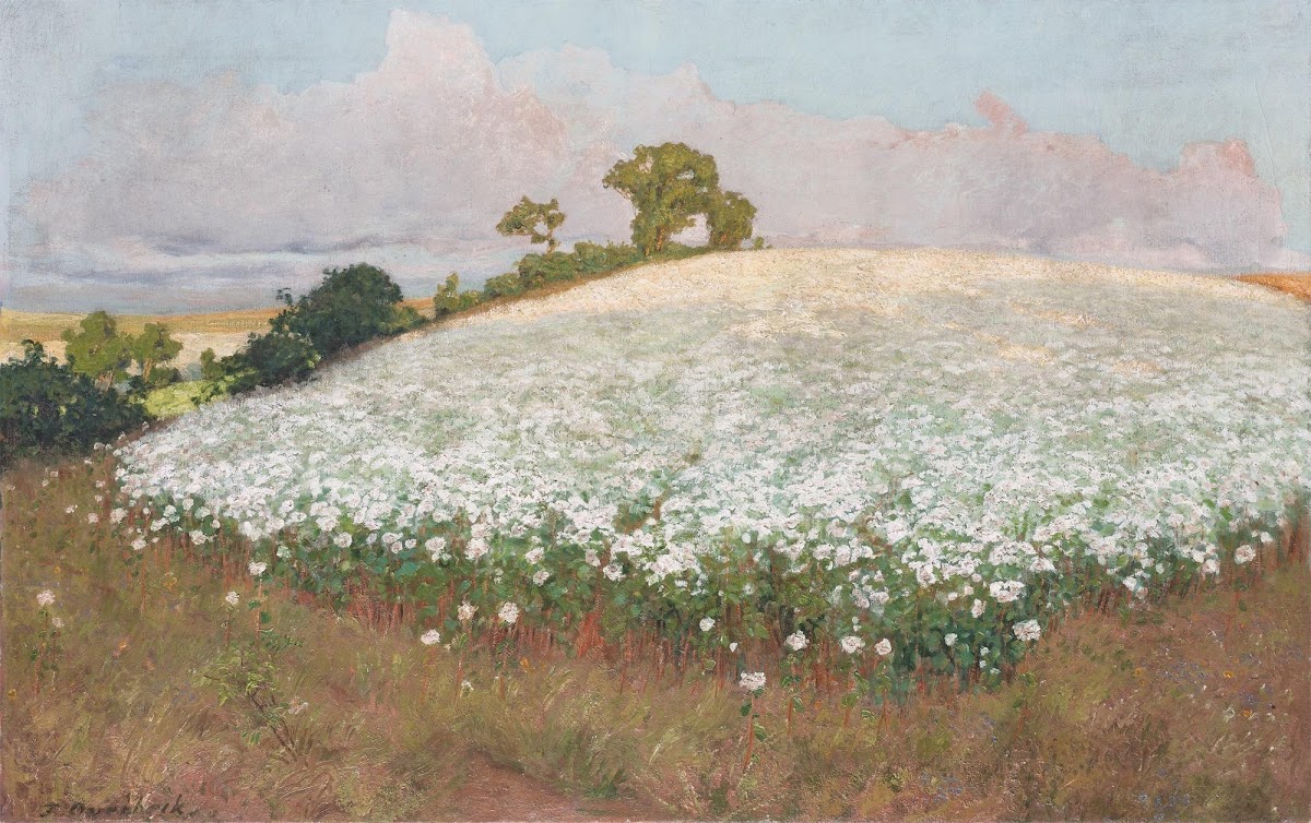 Buckwheat Field I Circa 1897