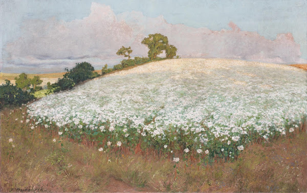Buckwheat Field I Circa 1897