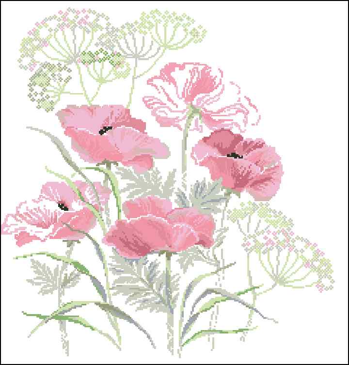 CMP 170084 Just Poppies