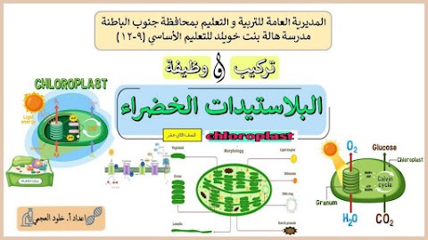 شرح وملخص درس تركيب و وظيفة البلاستيدات الخضراء - أحياء الصف 12 الفصل 2
