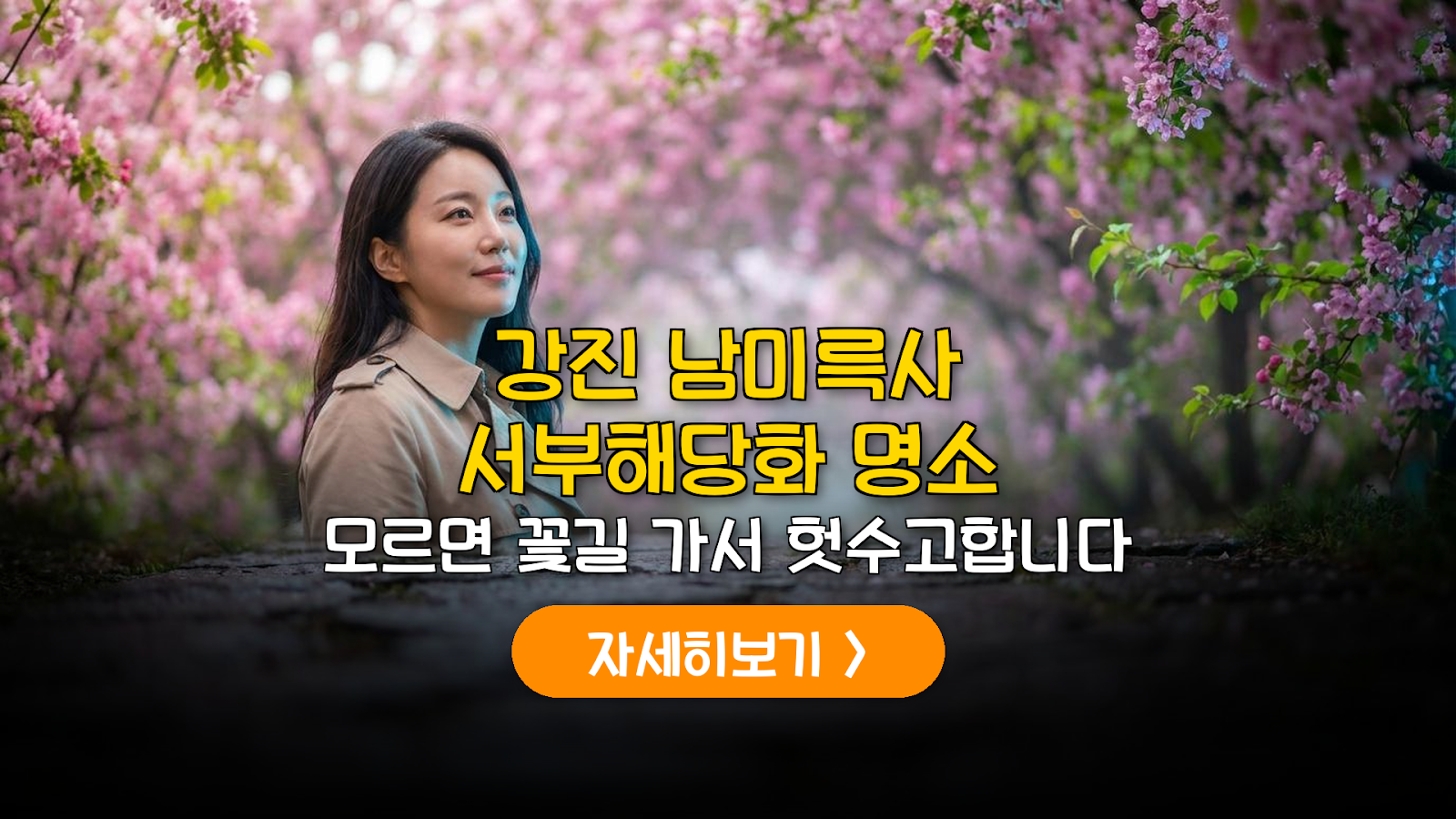 2026 강진 남미륵사 개화 분석 및 주차 실패 방지 가이드
