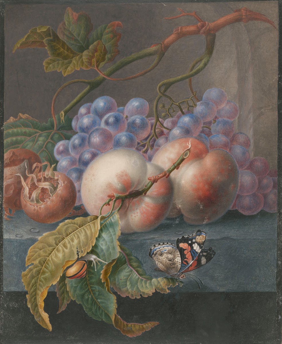 Vruchten met een vlinder en een slak 1677