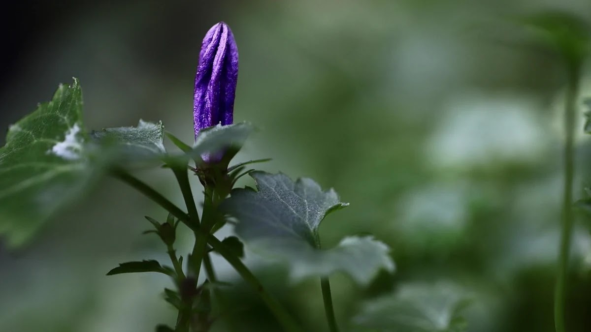 주택담보대출 중도상환 수수료 조건과 절차 비교