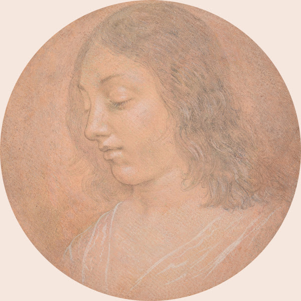 Head of a Young Woman late 15thearly 16th century