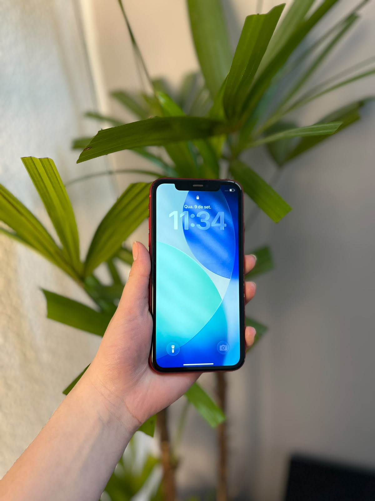 iPhone 11 64GB Vermelho