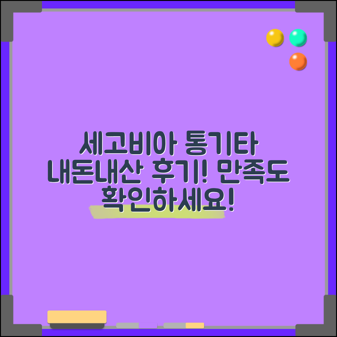 세고비아통기타, 내돈내산 만족도는 어떨까요?