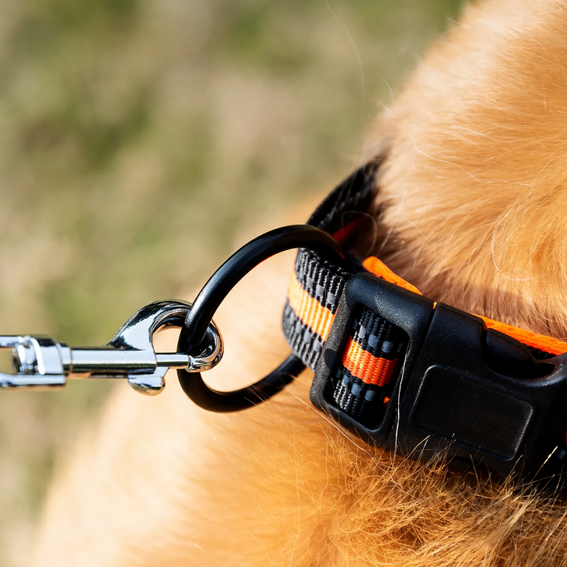 Nylon Reflective Collar for Dogs and Cats