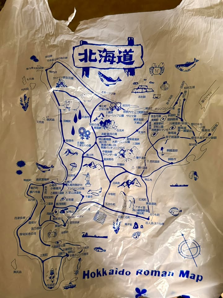 大家去日本玩，