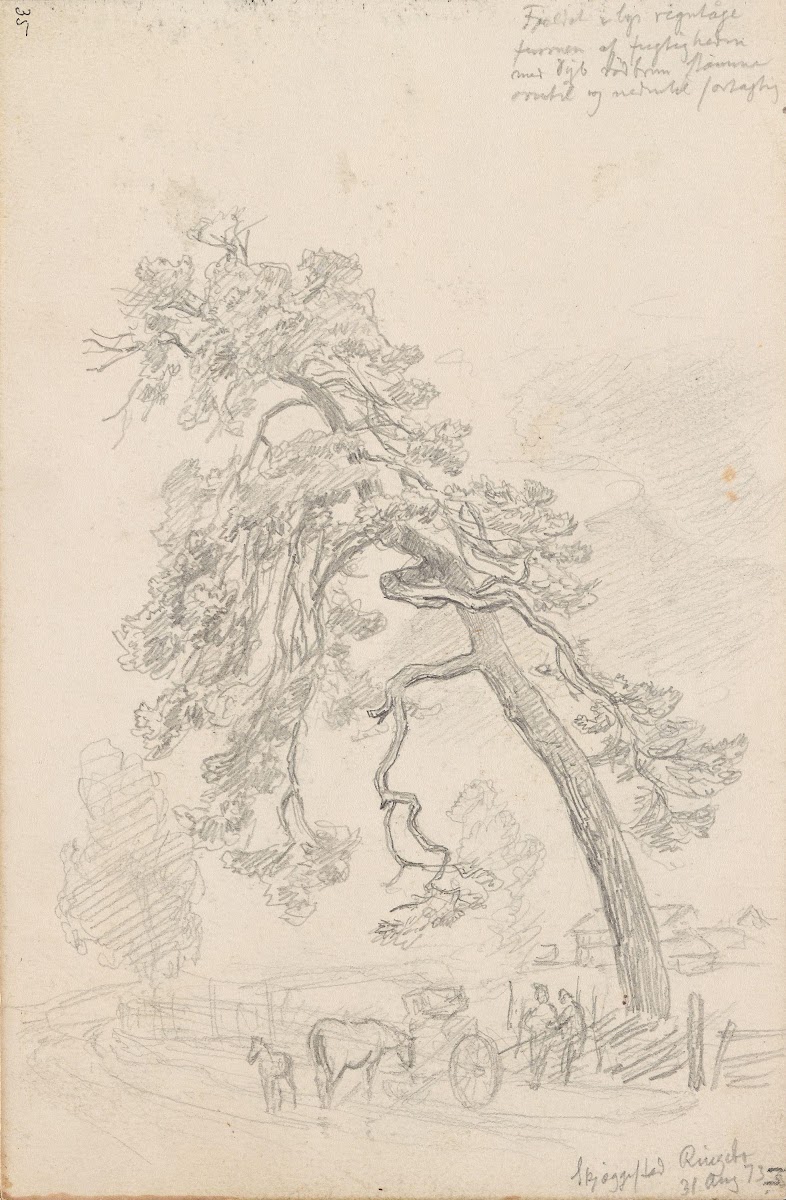 Fra Skjeggestad Ringebu 1873