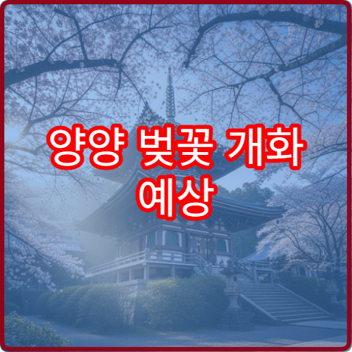 양양 벚꽃 개화 예상 양양 봄꽃 절정 시기