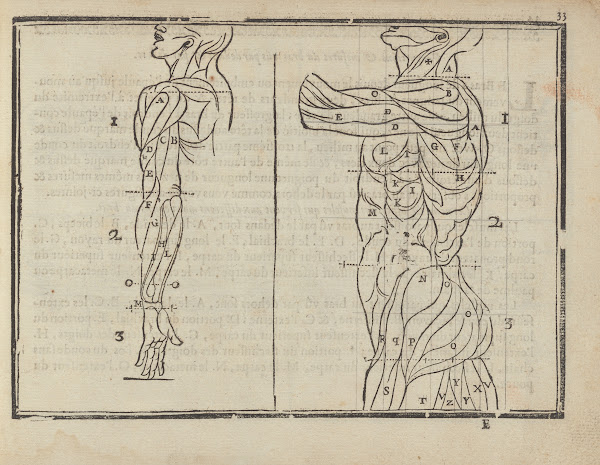 Lart de dessiner de Maistre Jean Cousin Pl14 1685