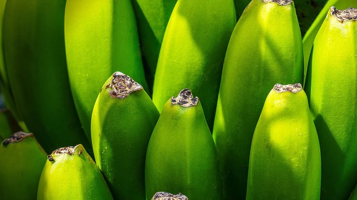 관세 환급 신청 절차와 조건별 환급 가능 사례 분석