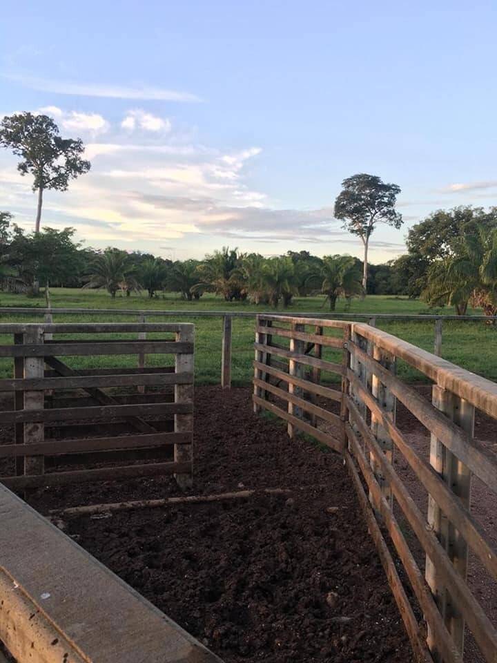 Fazenda em Mato Grosso divisa com Goiás 7