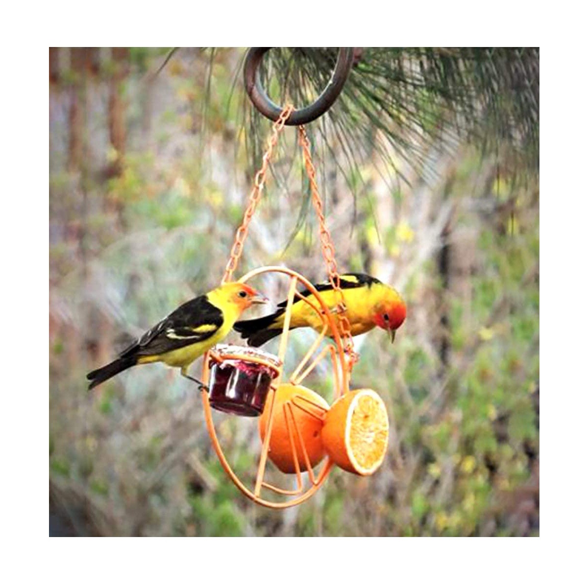 Hanging metal bird feeder