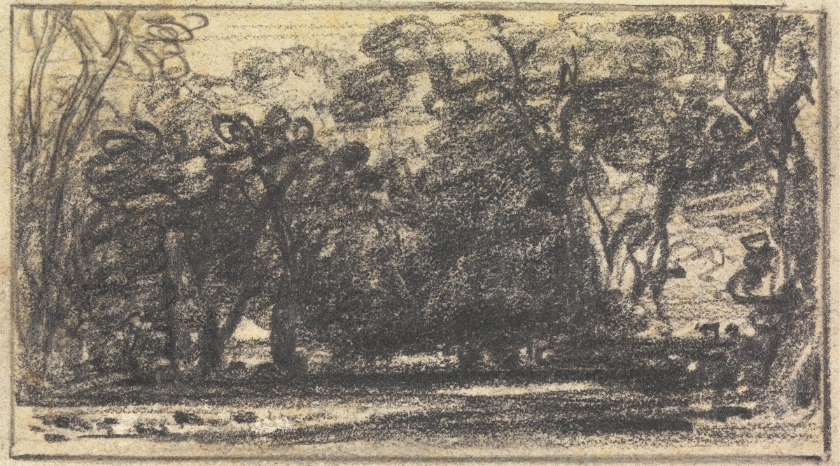Study of Trees
