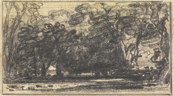 Study of Trees