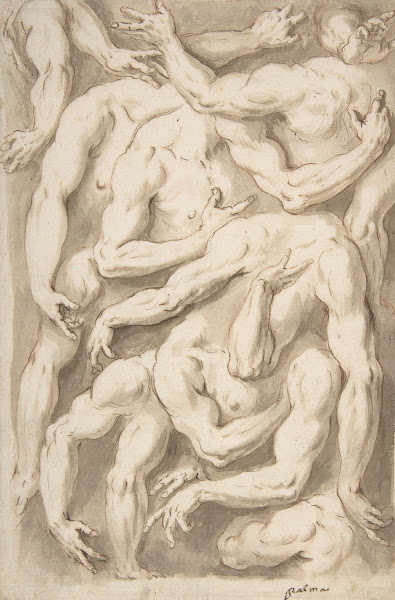Studies of Arms Shoulders and Hands 15481628