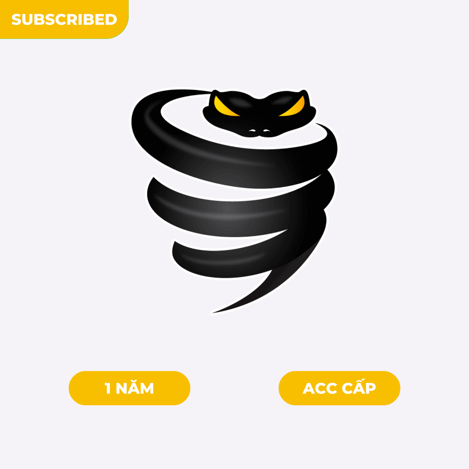 VYPR VPN