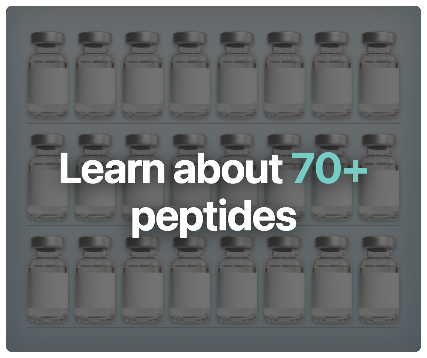 Explore Peptides