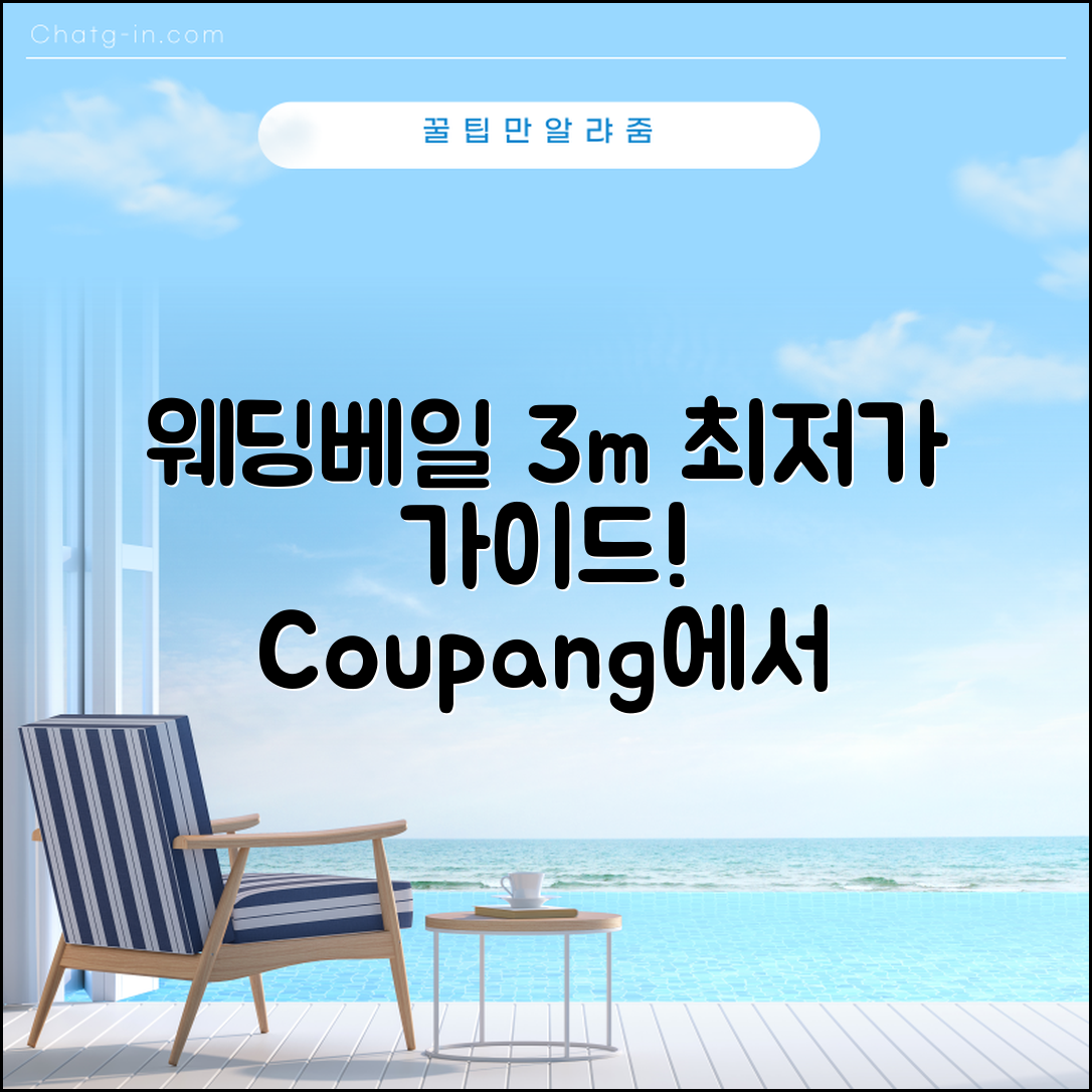 웨딩베일 3m 가격 완벽 가이드