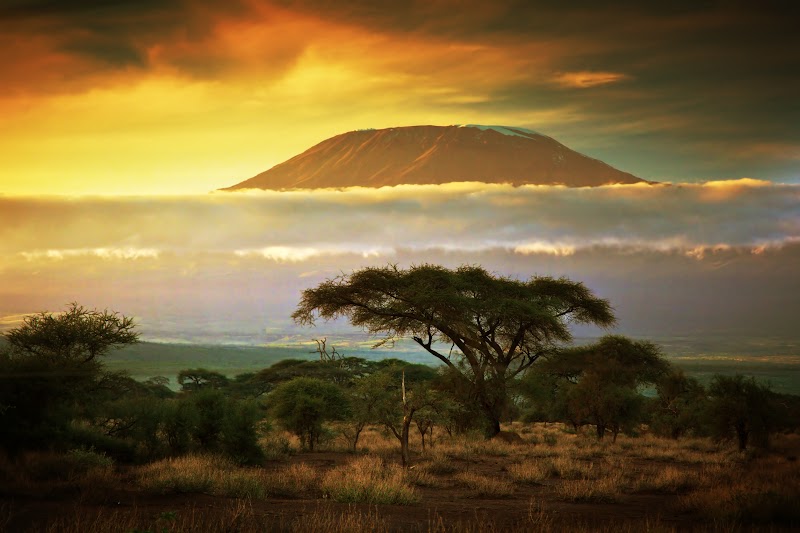 Rolling hills of Rwanda's Nyamasheke coffee-growing region