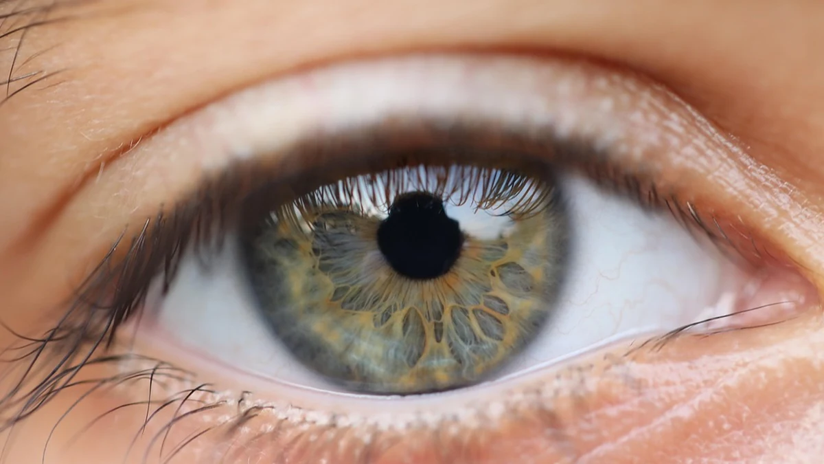 AI 영상 처리 기술 구조와 주요 알고리즘 차이점 비교