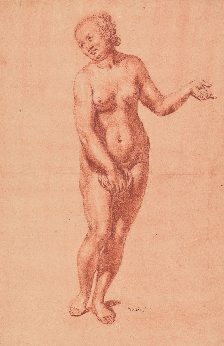 Standing Female Nude c 165089