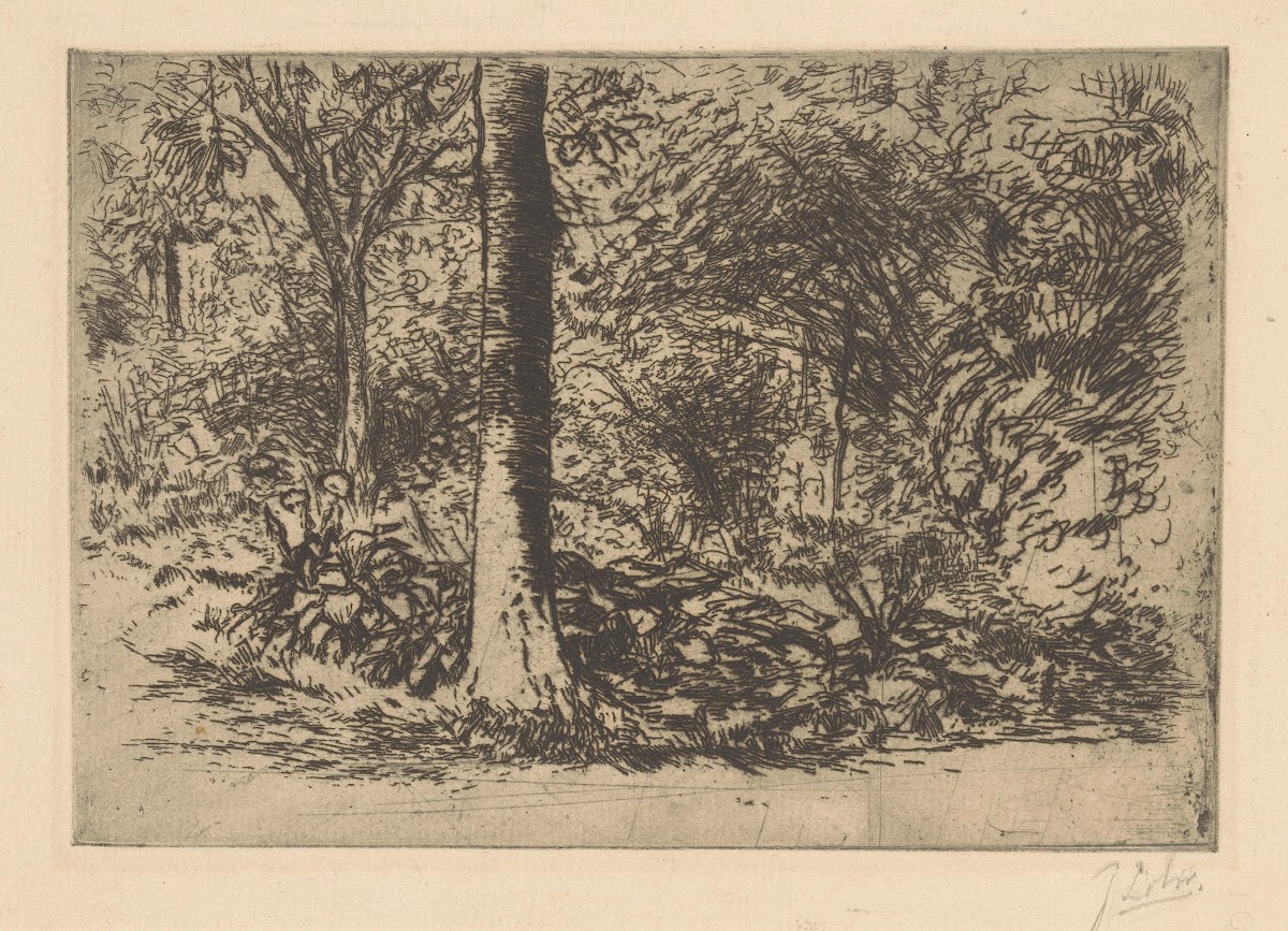 Forest edge 20th century