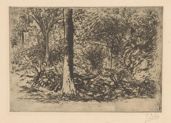 Forest edge 20th century