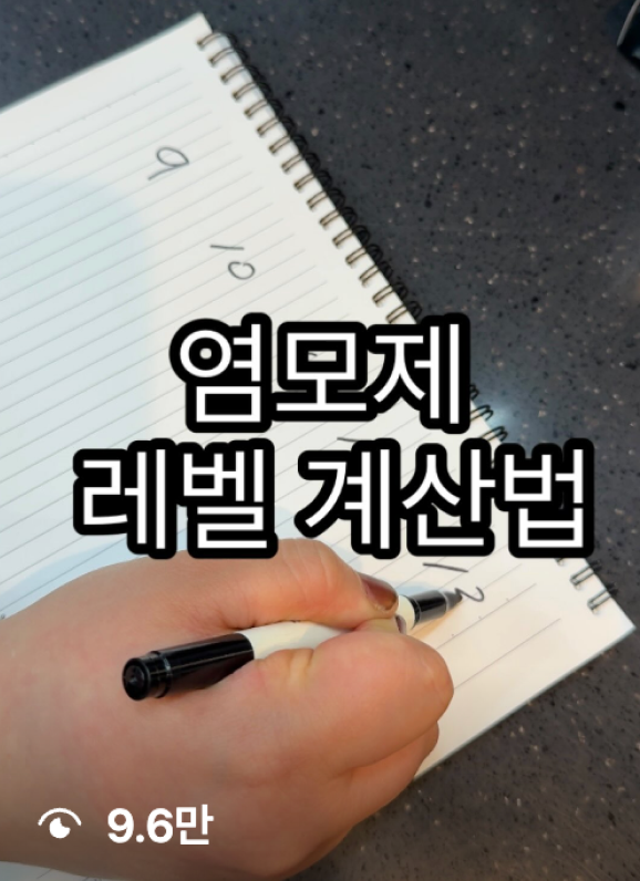릴스1