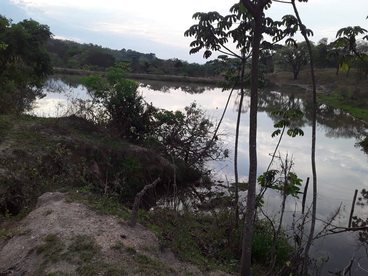 Fazenda em Cocalzinho de Goiás - GO 10