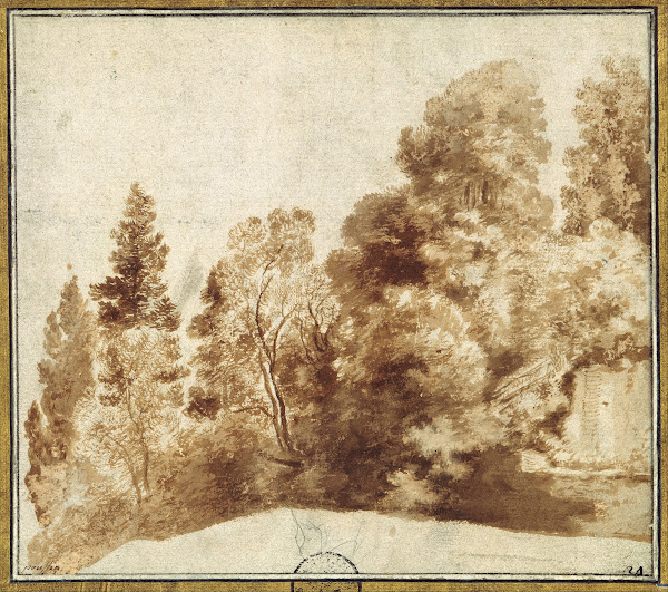 Group of Trees at a Wall 1630